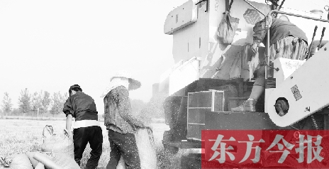 李正厚的妻子鮑本華（右）和一位村民拎著麻袋來到收割機前，接住傾倒出來的麥粒