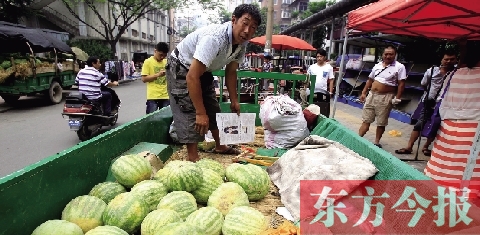 因?yàn)橐估锼粒瑏磬嵵葙u瓜的開封瓜農(nóng)姚老漢不但丟錢還丟瓜