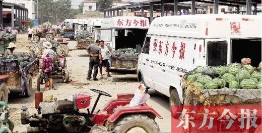 昨日，東方今報(bào)與河南福壽園聯(lián)合購(gòu)瓜，只有更多的市民和企業(yè)加入購(gòu)瓜行動(dòng)，瓜農(nóng)們才能早日回家