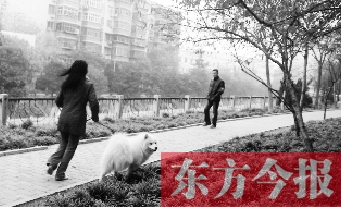 12月3日，鄭州市南關(guān)街熊兒河旁，一名遛狗的女子見到執(zhí)法人員檢查，迅速跑開