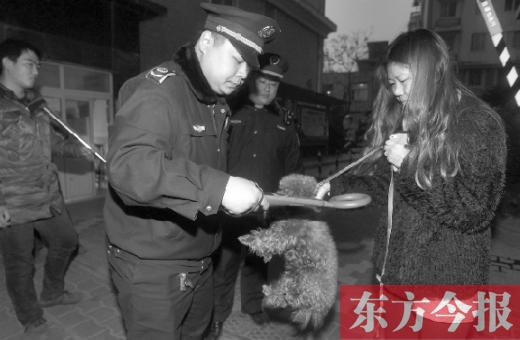 12月3日早上6點(diǎn)半，鄭州市南關(guān)街熊兒河旁，南關(guān)街辦事處的執(zhí)法人員對狗進(jìn)行排查