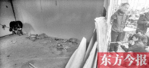 12月4日，鄭州市未來路與隴海路交叉口西側(cè)，執(zhí)法人員用吹管麻醉針對付一只藏獒