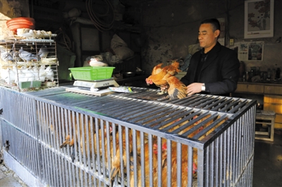 南京另一家農(nóng)貿(mào)市場內(nèi)待售的活雞。因南京出現(xiàn)H7N9禽流病例，買活雞的顧客減少。