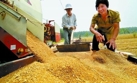 6月3日， 濮陽(yáng)開發(fā)區(qū)胡村鄉(xiāng)后范莊村的續(xù)秀萍看著新打的粒大飽滿的小麥喜上眉梢。
