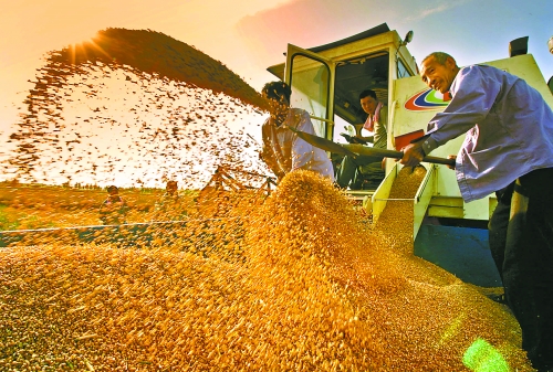 根據(jù)國(guó)家統(tǒng)計(jì)局核定結(jié)果，我省2012年糧食總產(chǎn)量達(dá)到1127.72億斤，成為第9個(gè)連續(xù)增產(chǎn)年份。