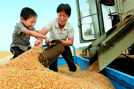 5月27日，確山縣劉店鎮(zhèn)前槽村郭景蓮和小孫子一起收獲小麥，豐收的喜悅寫在了臉上。