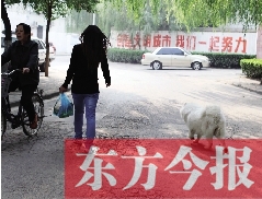 啟明一巷內(nèi)，一名女子帶著狗狗去買菜。狗隨地大小便，狗的主人未制止