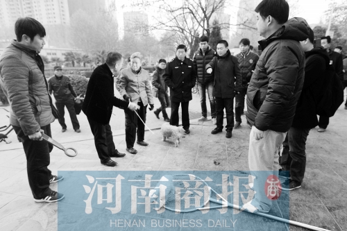 一只辦過狗證的小白狗，因?yàn)闆]有拴犬鏈，被執(zhí)法人員暫扣
