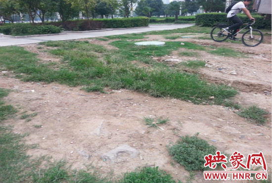 公園內大片草坪遭到破壞。