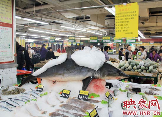 鄭州市一家超市海鮮區(qū)的冰架上赫然擺著一整條鯊魚在出售，鯊魚肉價格為23.80元每斤，遠低于牛羊肉的價