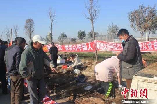 圖為百余名愛狗人士把老李的貨車攔截，數(shù)十人正在從貨車上卸下裝滿狗的鐵籠?！●R義恒　攝