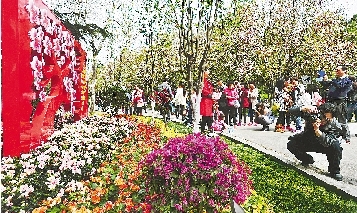 市民紛紛將鏡頭對準花叢。
