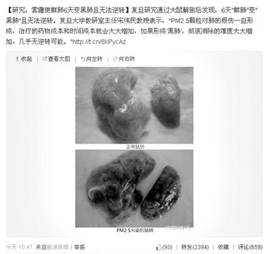 昨天，一則“霧霾使鮮肺6天變黑肺”的新聞在網(wǎng)上引發(fā)熱議。網(wǎng)絡(luò)截圖