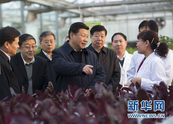  27日下午，習(xí)近平在山東省農(nóng)業(yè)科學(xué)院智能化溫室了解農(nóng)業(yè)科技創(chuàng)新情況。