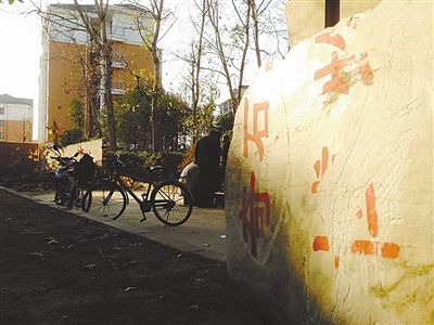 昨日，“上海奇石盆景博物館”原址上，已矗立起小區(qū)樓盤(pán)，而刻著博物館名的巨石，廢棄在一旁。本版圖片/新京報(bào)記者 張永生 攝