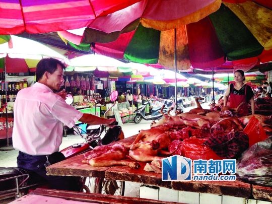 昨日，玉林垌口市場(chǎng)，一位市民在購(gòu)買狗肉。