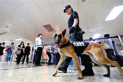 地鐵王府井站搜汽油警犬在安檢口巡邏。新京報記者 王貴彬 攝