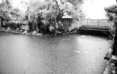 白云區(qū)棠樂路通往石槎路的一個鐵路橋底涵洞常被暴雨積水淹沒?！缎畔r報(bào)》供圖