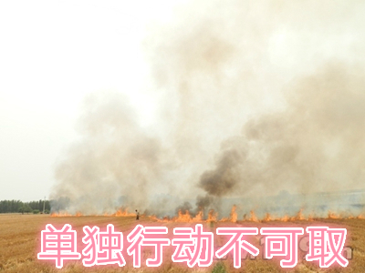 不要單獨一個人亂沖亂打：單獨行動被煙氣沖昏倒地，無人發(fā)覺被燒；