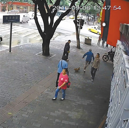 寵物狗絆倒八旬老太 沒有“逃離”現(xiàn)場(chǎng)坐等民警來(lái)