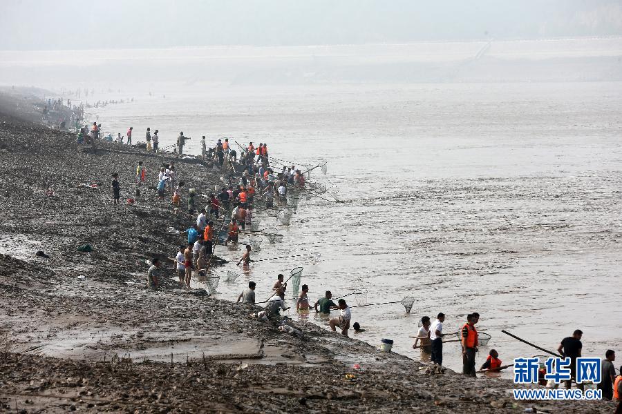 7月6日,在山西省平陸縣黃河岸邊,人們?cè)诤舆叢稉泣S河“流魚(yú)”。