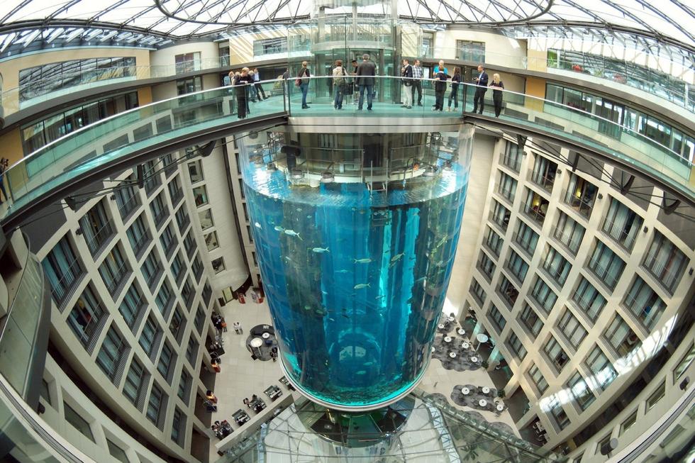 在圓柱水族館主體下方，還有一些別的展館。