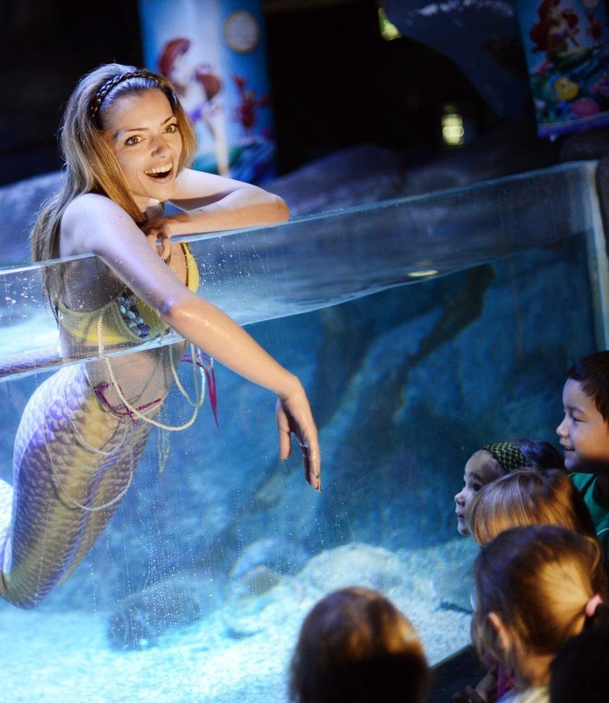 德國女演員安妮·門登在水族館里客串了一把“美人魚”，順便為她的電影《小美人魚》做宣傳。