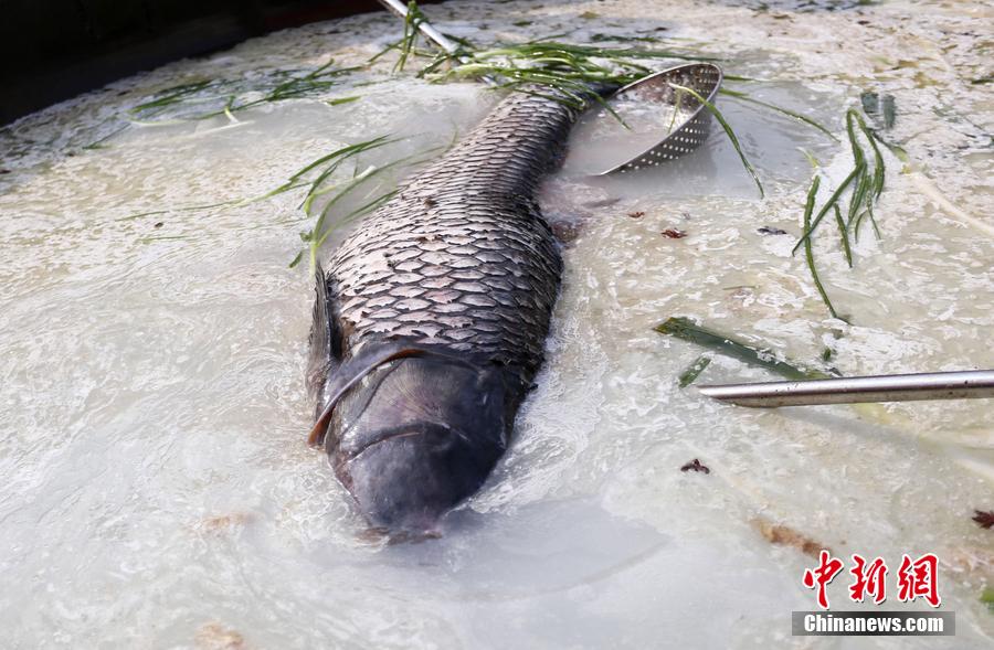 “魚王”在3米大鍋內(nèi)烹飪。 圖片來源：CFP視覺中國(guó)