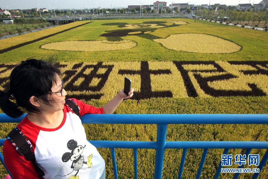 10月25日，游客在觀景臺上觀賞“米老鼠”稻田畫。