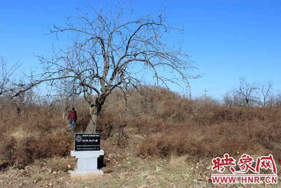 在叔齊墓的前面，豎著新鄭市人民政府今年剛立的石碑，上面寫著“新鄭市文物保護單位”。