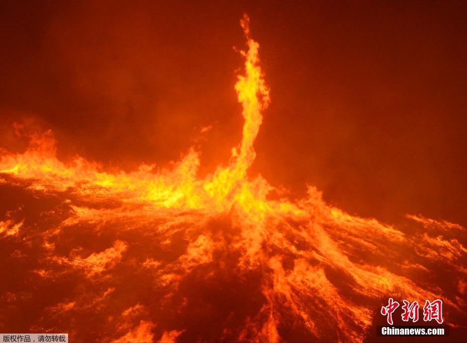 美國加州發(fā)生森林大火 強風(fēng)助陣現(xiàn)“火龍卷”