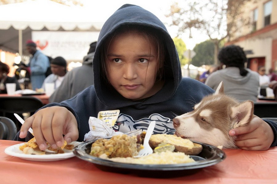 11月21日，加州洛杉磯的游民巷，12歲的堂娜·赫南德茲抱著愛犬“湯米”，安靜地吃著免費的感恩節(jié)飯菜