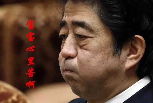 這種看安倍“熱鬧”的事兒，環(huán)環(huán)絕不私藏，一定雨露均沾!
