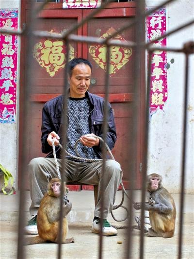 10月13日，耍猴人鮑慶山牽著從牡丹江帶回的兩只小猴在家門口玩耍。