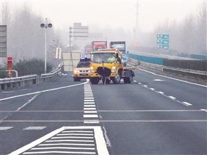 2米高鴕鳥撞破收費站護欄，高速上狂奔8公里。