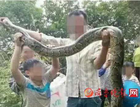 膽真大！男子抓野生大蟒燉湯 蟒蛇屬國(guó)家一級(jí)保護(hù)動(dòng)物(圖)