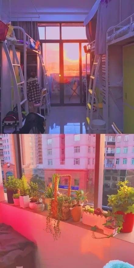 這個(gè)學(xué)校的男生宿舍火了！女同學(xué)都喊著要嫁