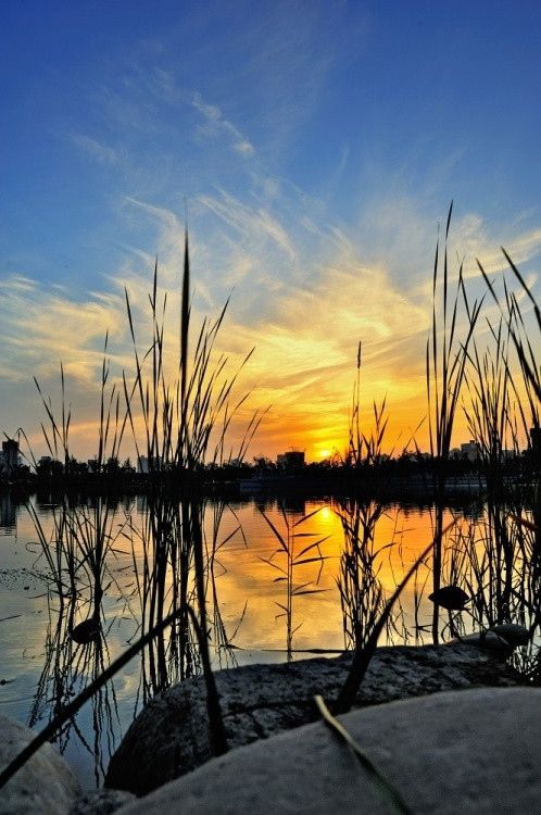 夕陽(yáng)無(wú)限好 西安不可錯(cuò)過(guò)的夕照勝景地