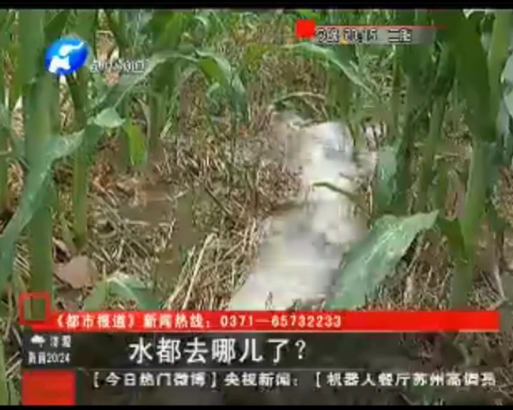 水都去哪了？