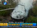 兩車相撞一車被撞飛樹(shù)上