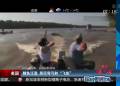 鯉魚(yú)泛濫 居民彎弓射“飛魚(yú)”