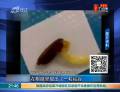 老農眼睛流膿 稻谷竟在眼里發(fā)芽