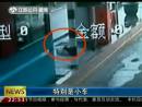 高速邊苦等十三天 主人你在哪里？