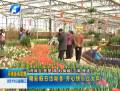 精彩假日活動(dòng)多 開心快樂過(guò)大年