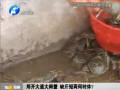 鄭開大道大閘蟹 缺斤短兩何時休？