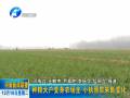 種糧大戶變身農場主 小執(zhí)照帶來新變化