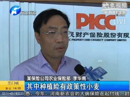 冰雹惹禍 損失能索賠嗎？