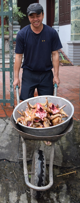 越南貓肉餐廳：將貓淹死、剝皮、切成小塊，再油炸